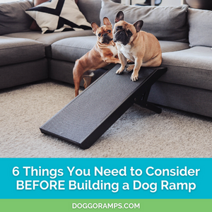 6 Things You Need to Consider Before Building a Dog Ramp - DoggoRamps - 2 French Bulldogs pose with their DoggoRamps Couch Ramp for Dogs