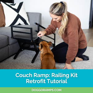 Couch Ramp: Railing Kit Retrofit Tutorial