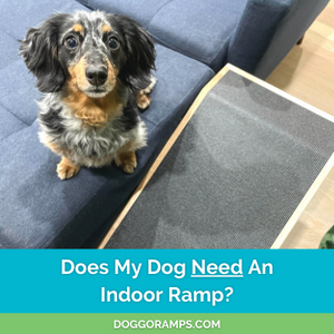 How to Know if Your Dog Needs an Indoor Dog Ramp