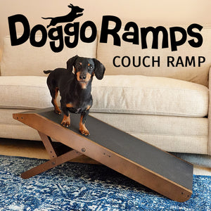 Introducing the DoggoRamps COUCH RAMP for Dogs!