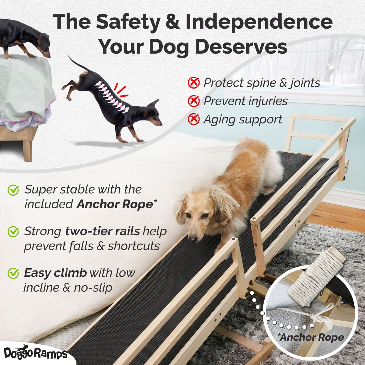 Dog ramp safety for IVDD and joints, avoid jumping injuries with best safety features