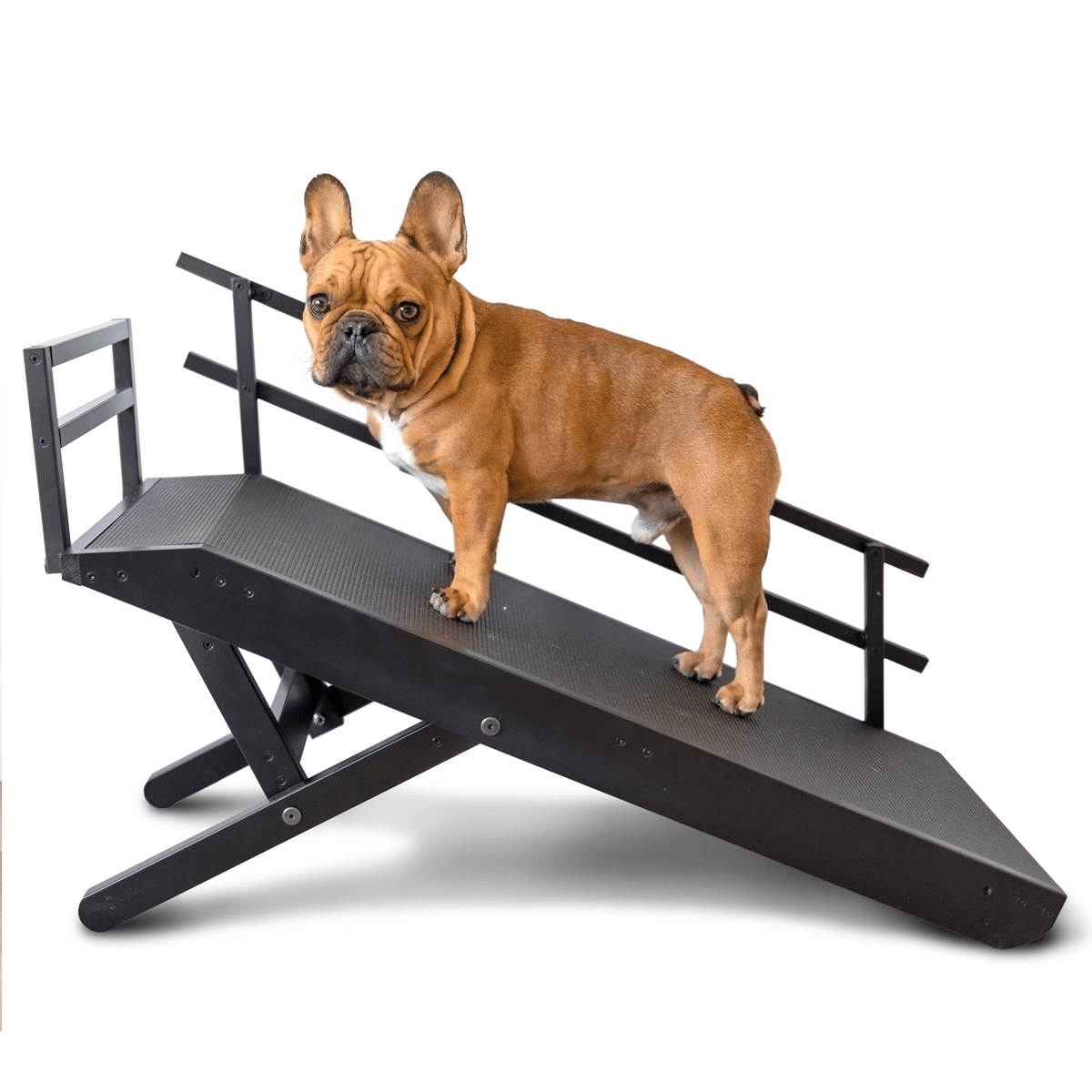 Rampe pour chien pour canapé