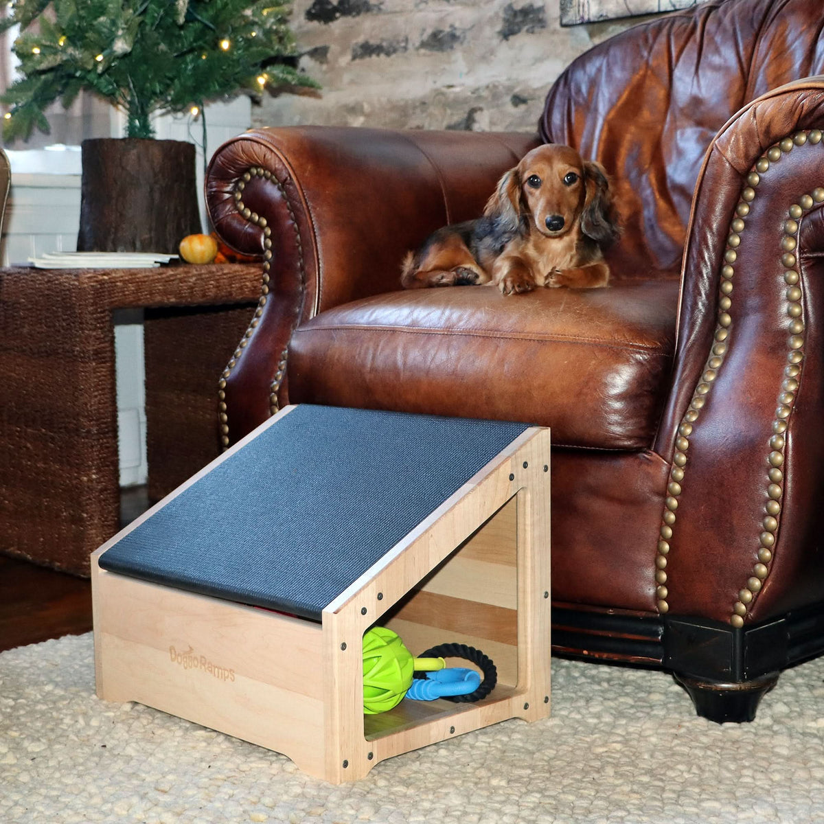 StepRamp pour chiens