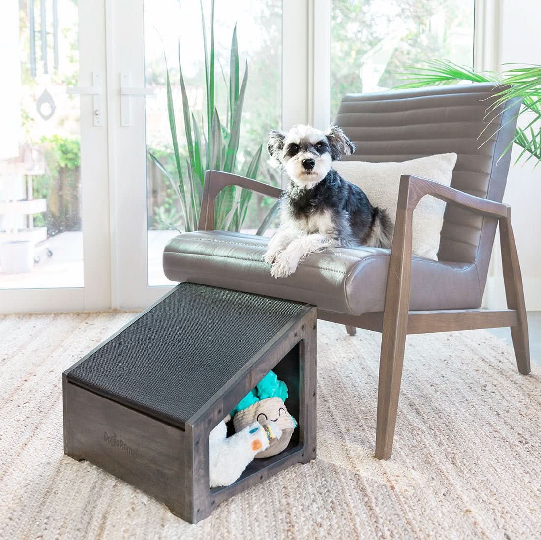 StepRamp pour chiens