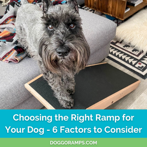 Choosing the Right Dog Ramp for Your Dog - 6 Factors to Consider