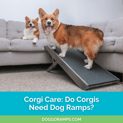 son cardigan corgis diferentes de pembroke corgis