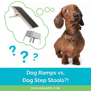 A Dog Ramp versus A Dog Step Stool - What's Better?