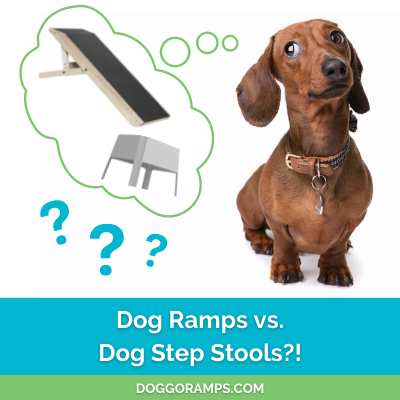 Doggy best sale step stool