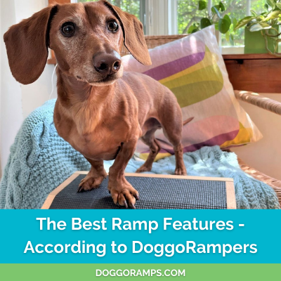  DoggoRamps Rampa para perros – Camas ajustables de hasta 37  pulgadas de alto con baja inclinación, rieles de seguridad y agarre  antideslizante, para perros pequeños de hasta 50 libras – Madera