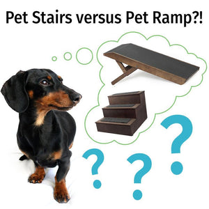 A Dog Ramp versus Dog Stairs