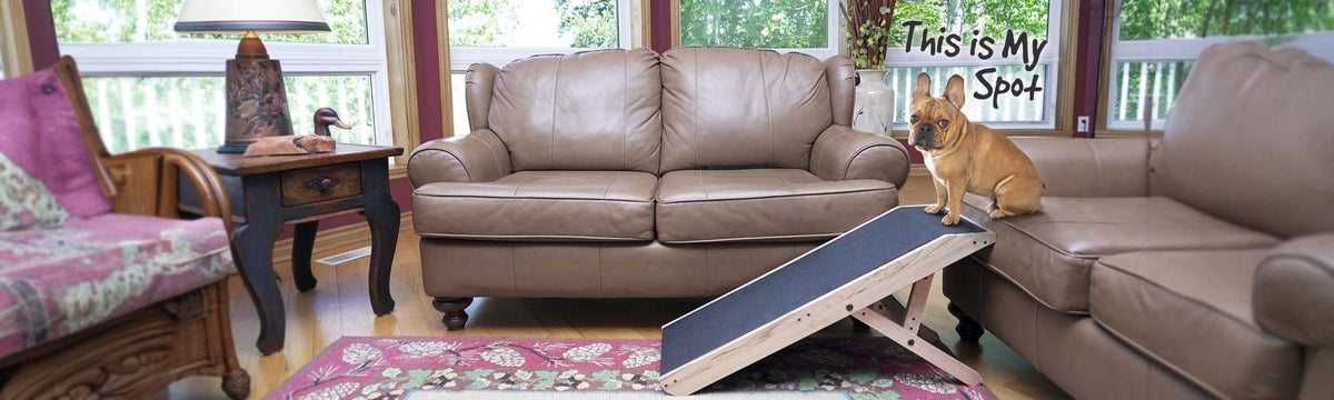 Dog Ramp for Couch, being used by a Frenchie sitting on Landing Platform Top