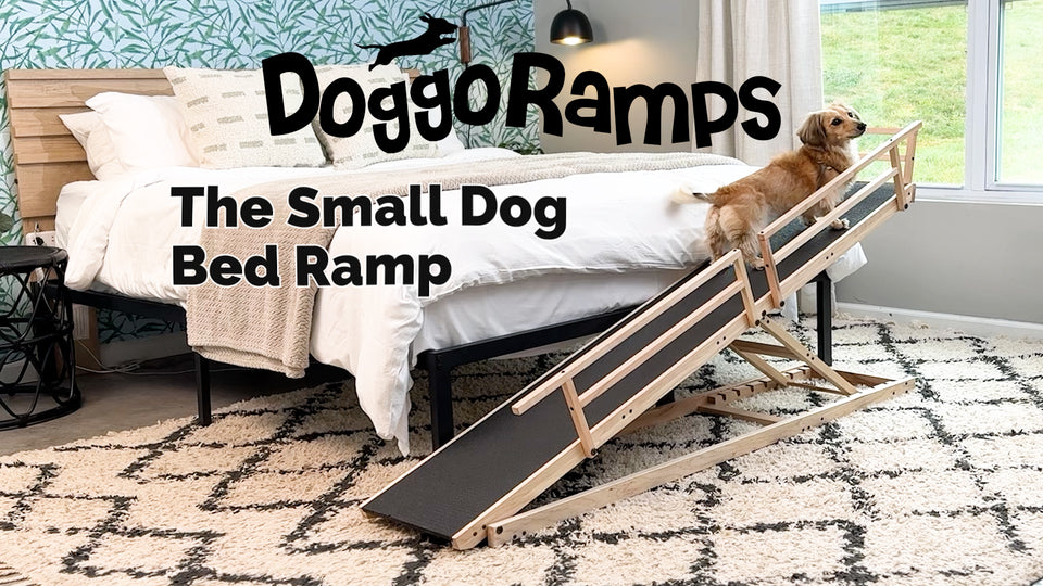Watch: Small Dog Ramp for Bed — quick 2-minute demo