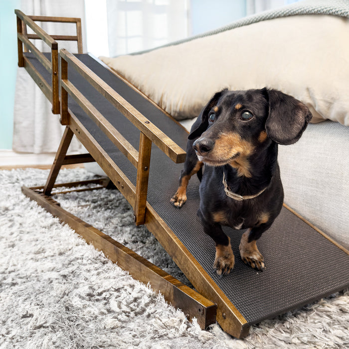 Crusoe the Dachshund on DoggoRamps Dog Ramp for Bed for Small Dogs