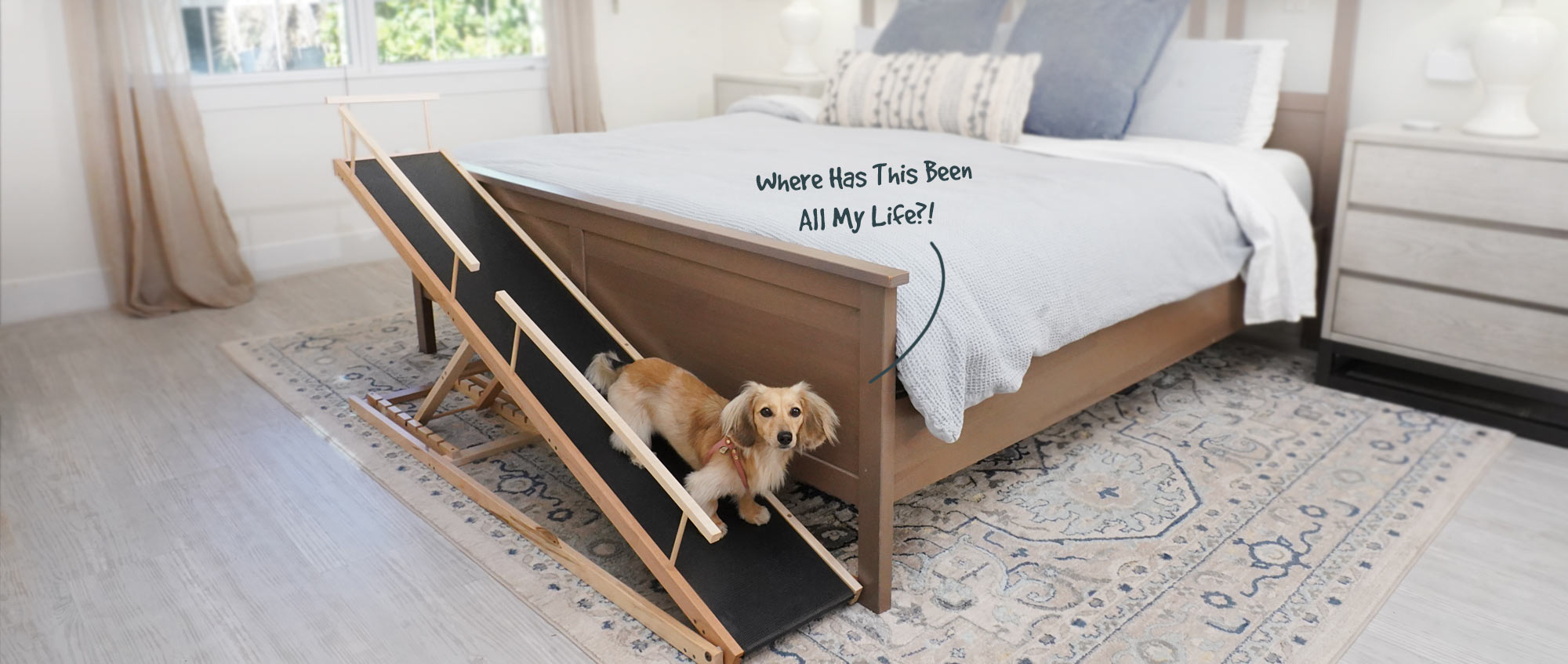 The Small Dog Ramp for Beds, by DoggoRamps™