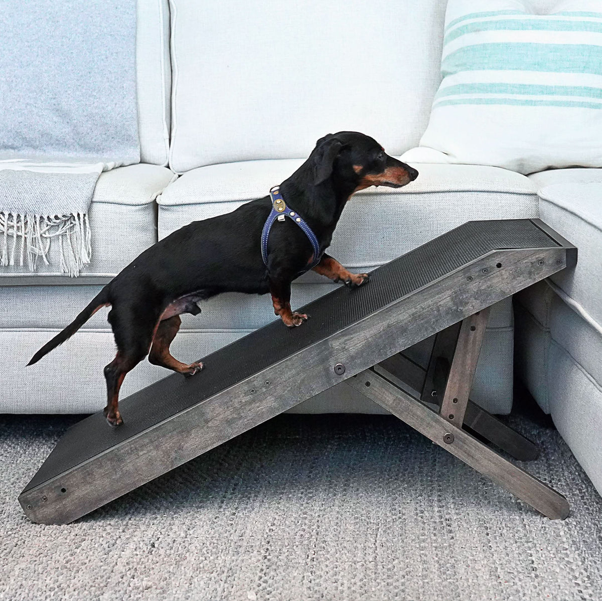 Dog Ramp for Couch with Optional Safety Rails - by DoggoRamps™