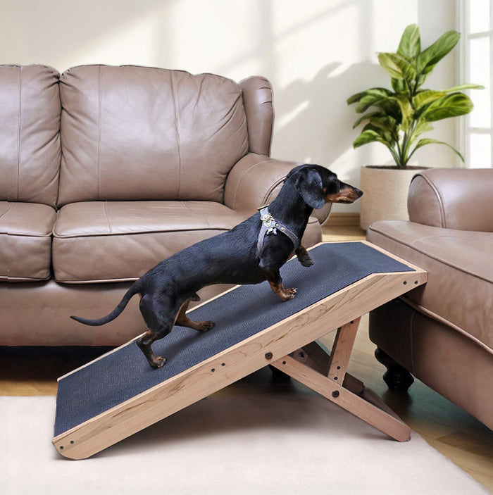 The best dog ramp for couch