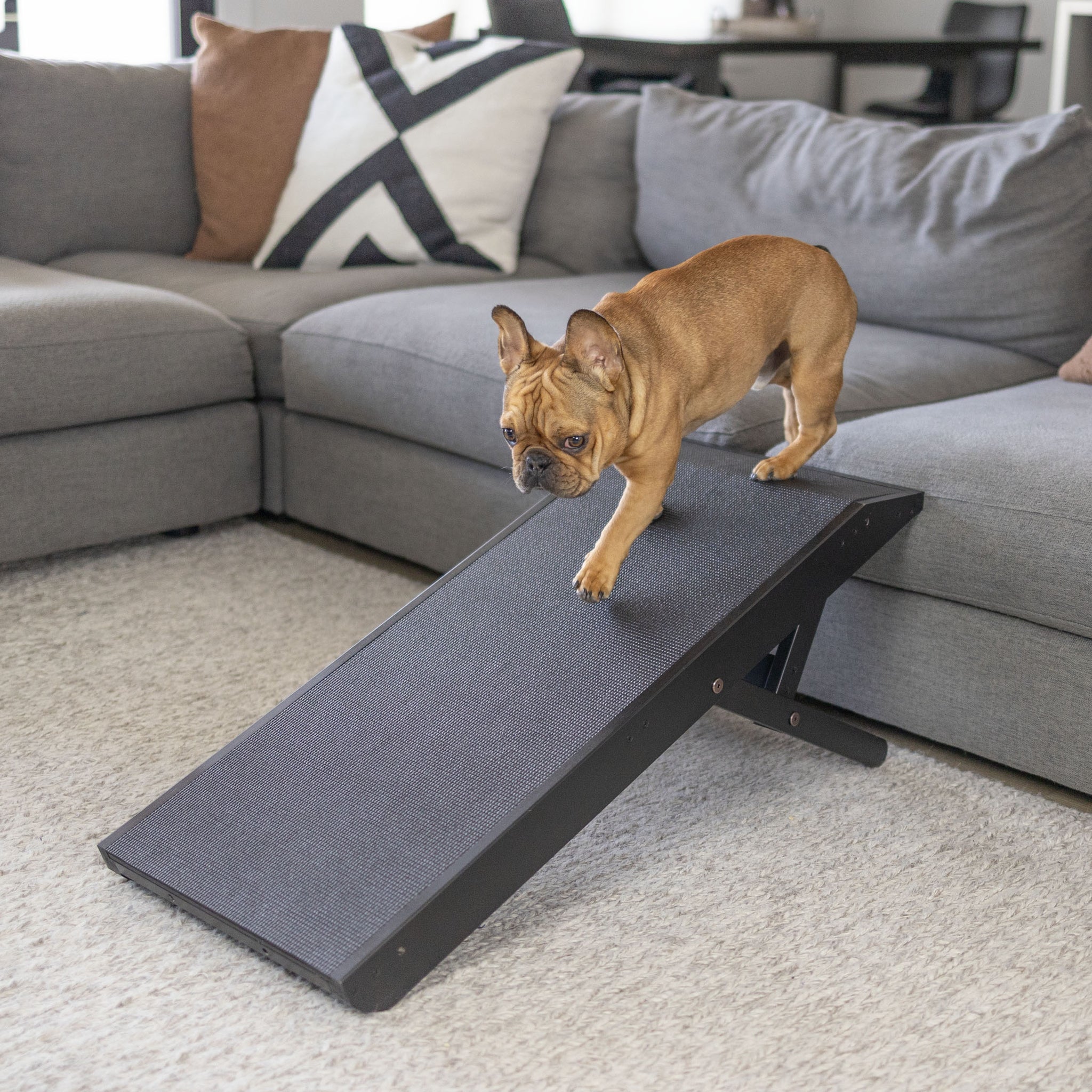 Rampas para perros para cama y sofá: las únicas rampas para perros de  madera dura