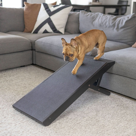 Dog Ramp for Couch
