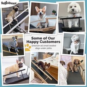 Small Dog Ramp for Bed