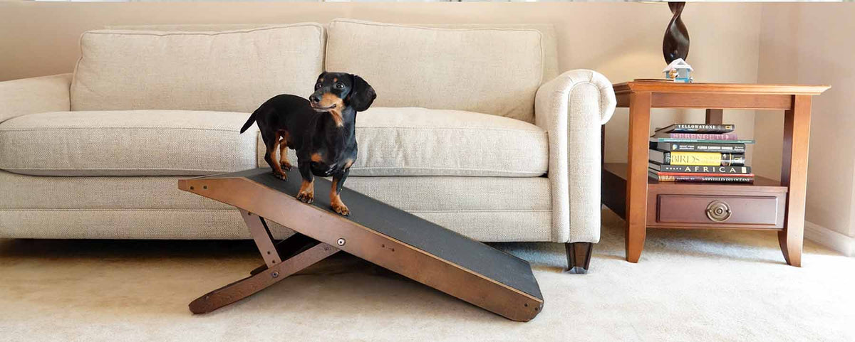 Dog Ramp for Couch by DoggoRamps