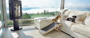 dog ramp for couch, furniture quality hardwood, dachshund ramp for small dogs