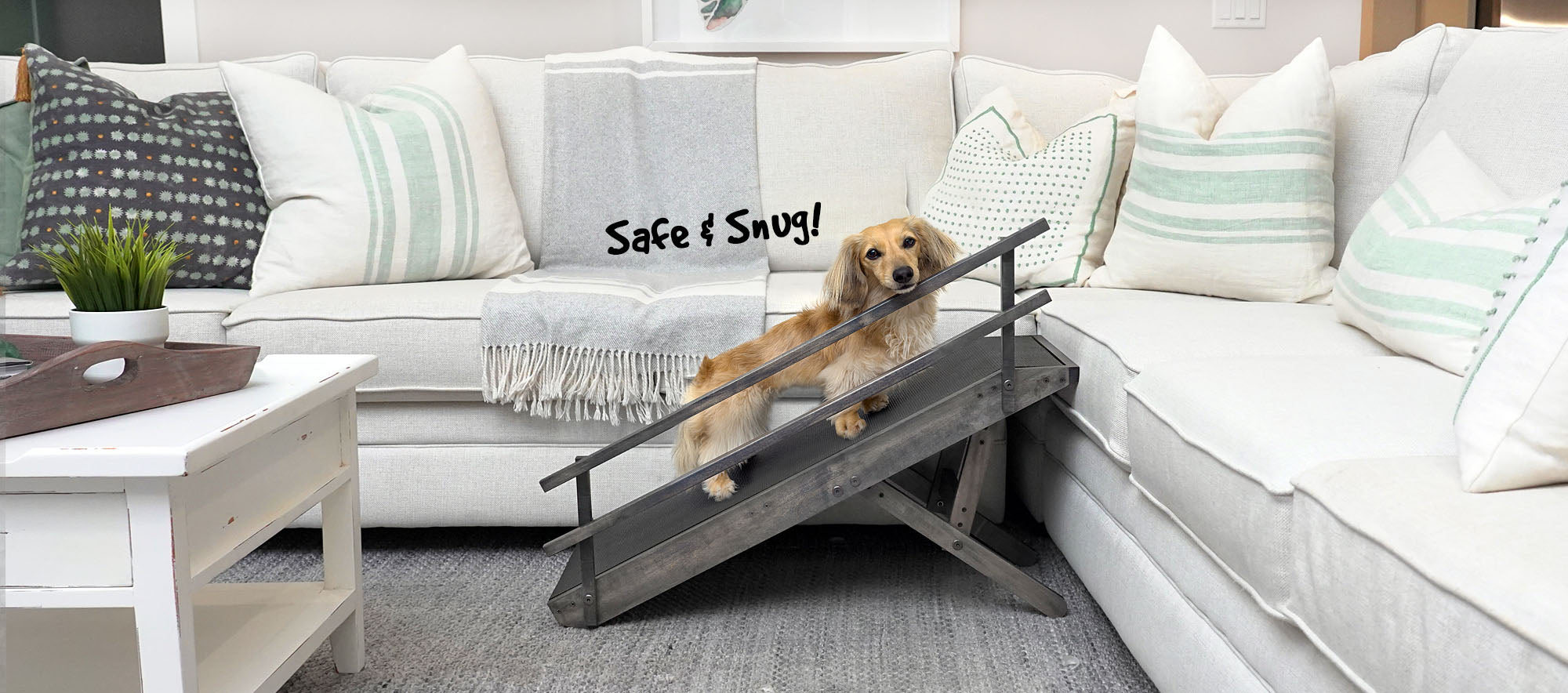 safety dog ramp for couch - best dachshund dog ramp