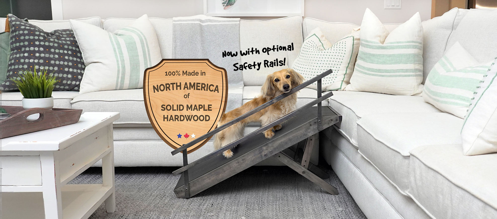 Doggo ramp cost online