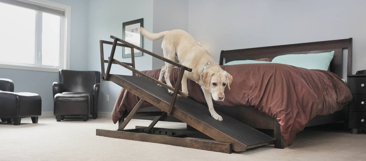 Dog Ramps for Bed & Couch The Only Hardwood Dog Ramps