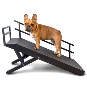 Dog Ramp for Couch