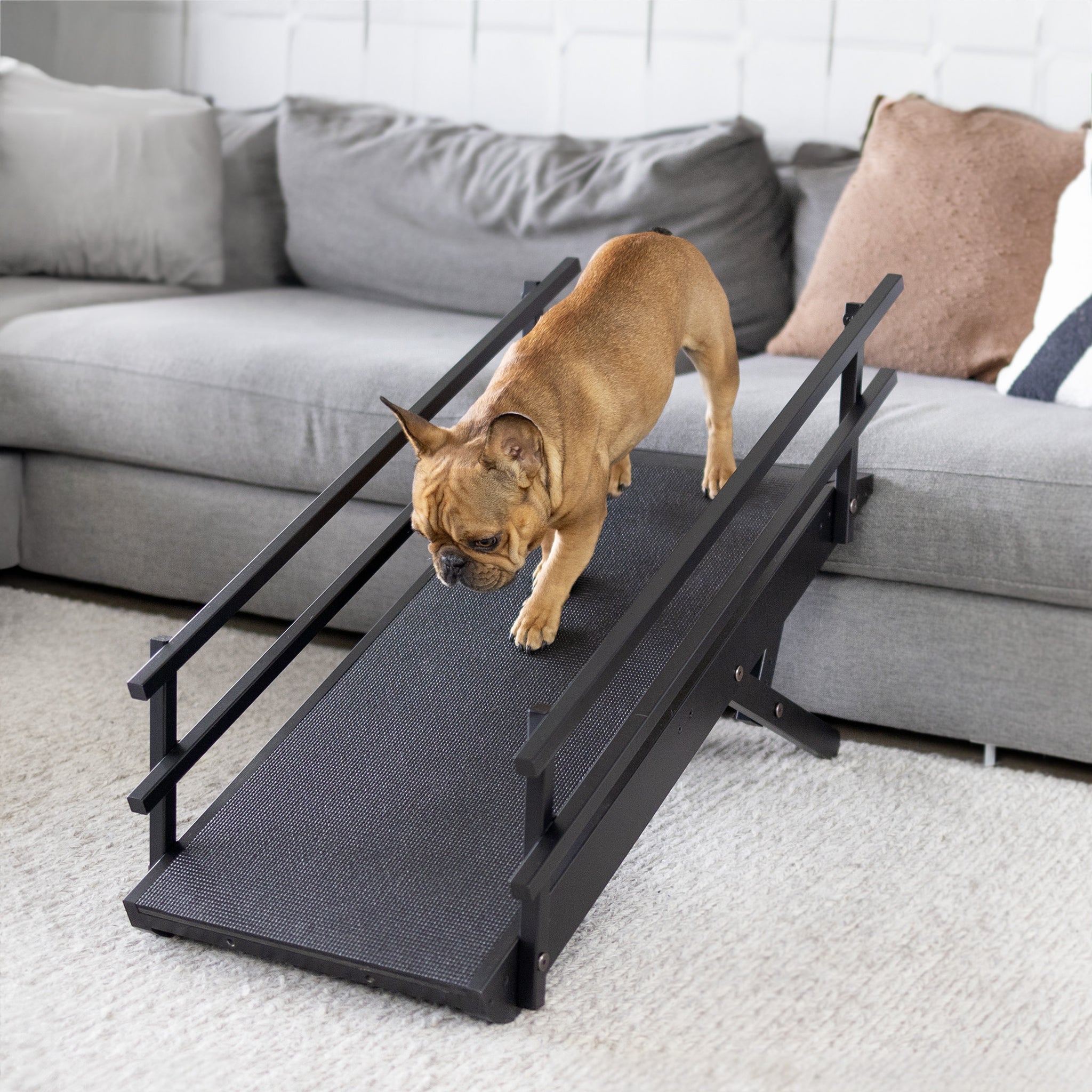 Dog Sofa Ramp | Baci Living Room