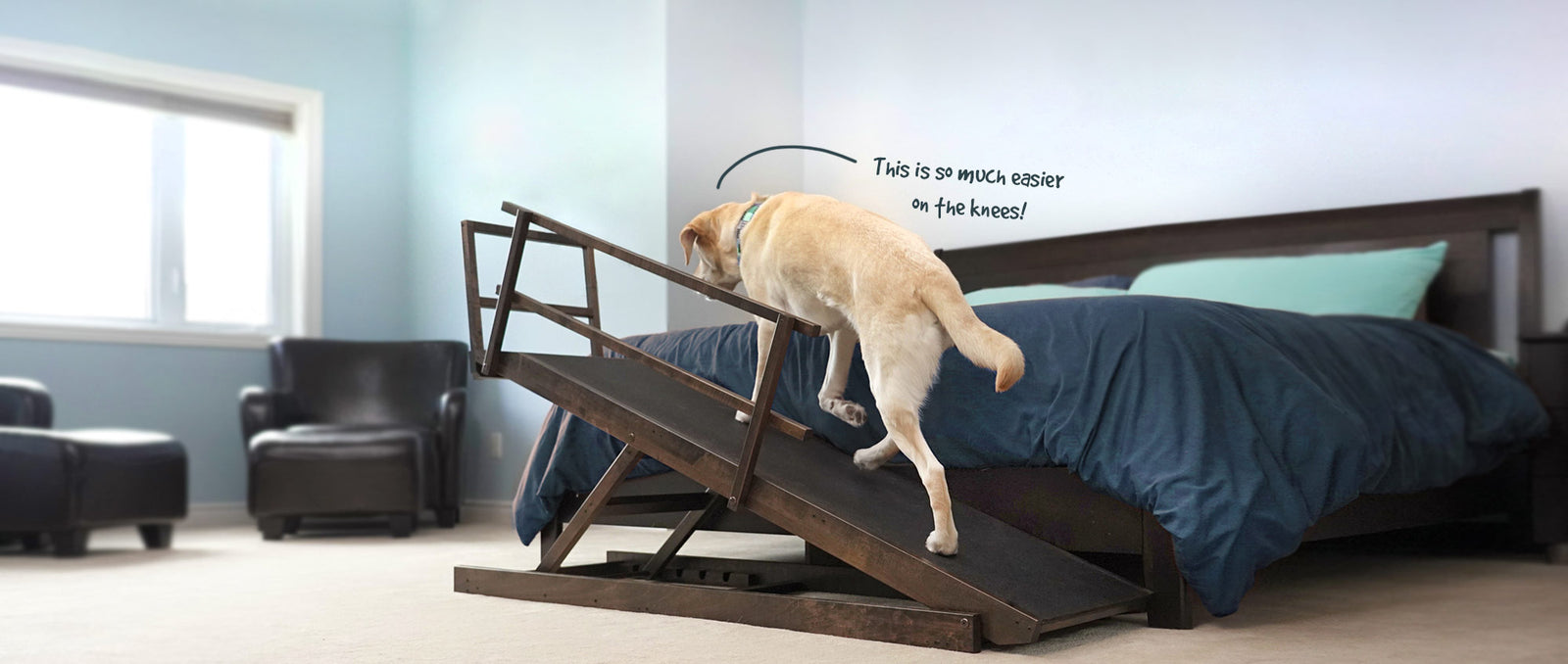 Bed Ramp for Medium & Large Dogs Adjustable Dog Ramp with Rails