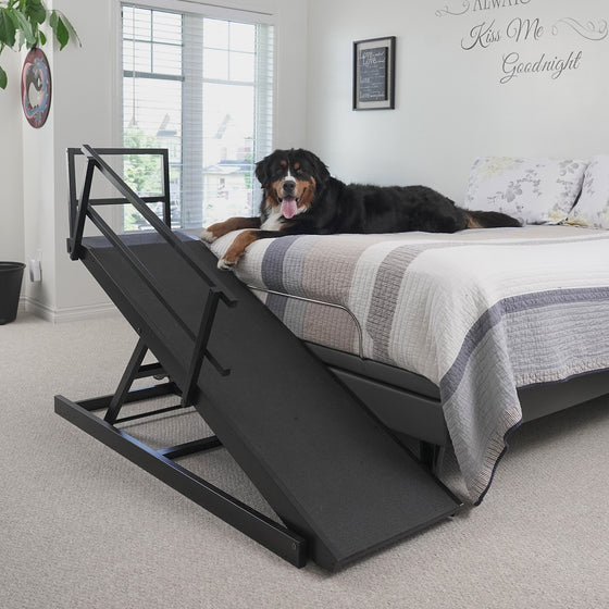 dog ramp for large dogs to get on bed - like basset hounds, retrievers, even Burmese mountain dogs