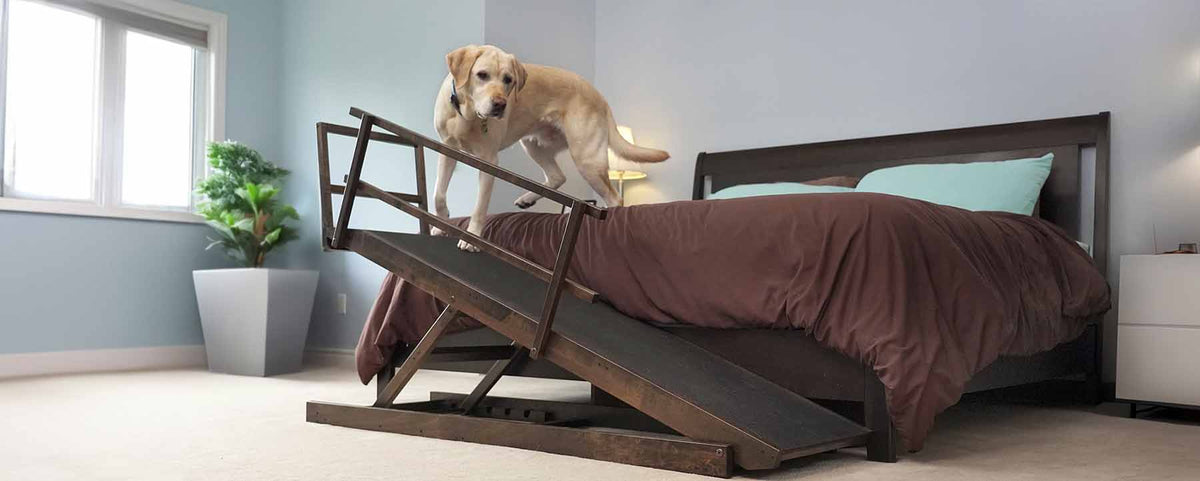 Dog Ramp for Bed for Large Dogs and Medium Dogs