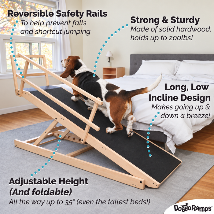 Large dog ramp features - adjustable height for high beds, strong and sturdy
