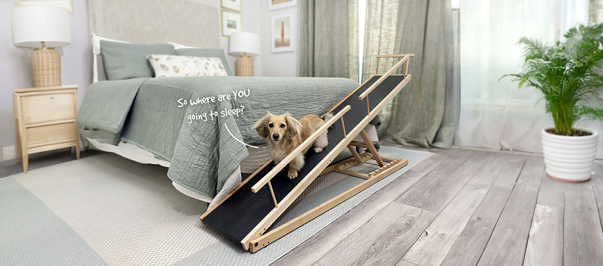 The Small Dog Ramp for Beds, by DoggoRamps™