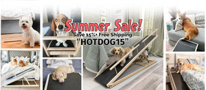 DoggoRamps summer sale 2023