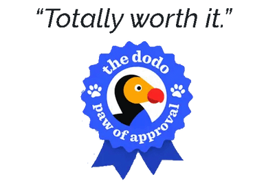 The Dodo Paw Stamp of Approval DoggoRamps Dog Ramps