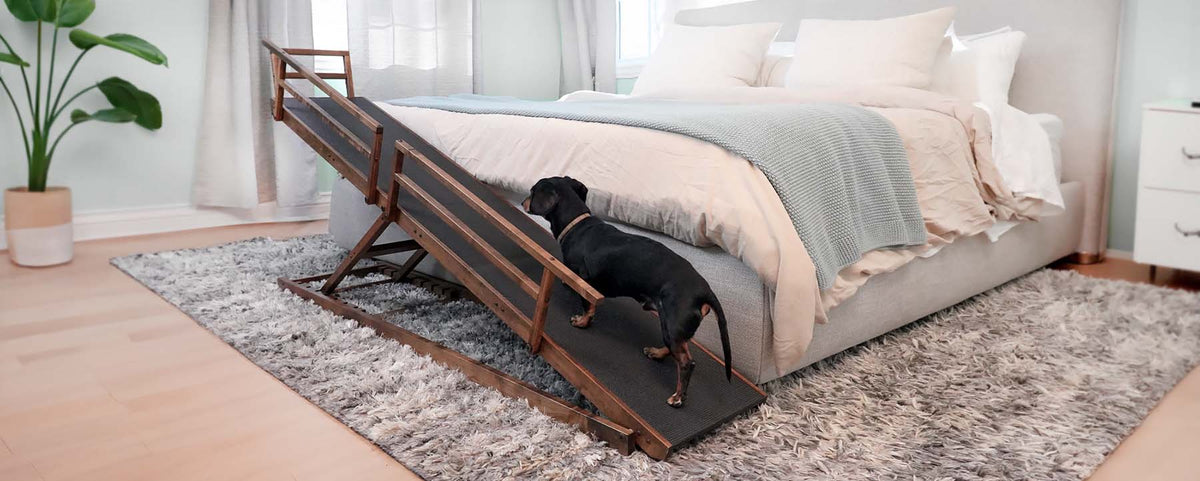 The Small Dog Ramp for Bed, by DoggoRamps