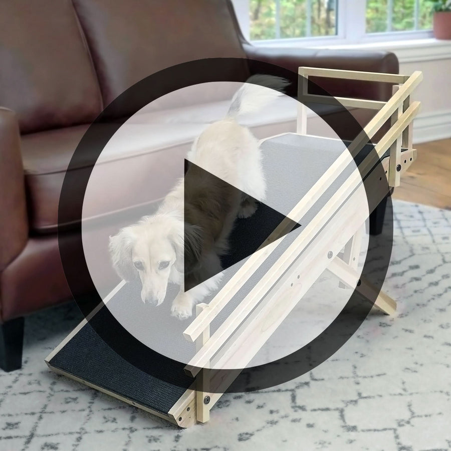 The best dog ramp for couch