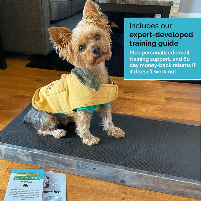 Rampe pour chien pour canapé