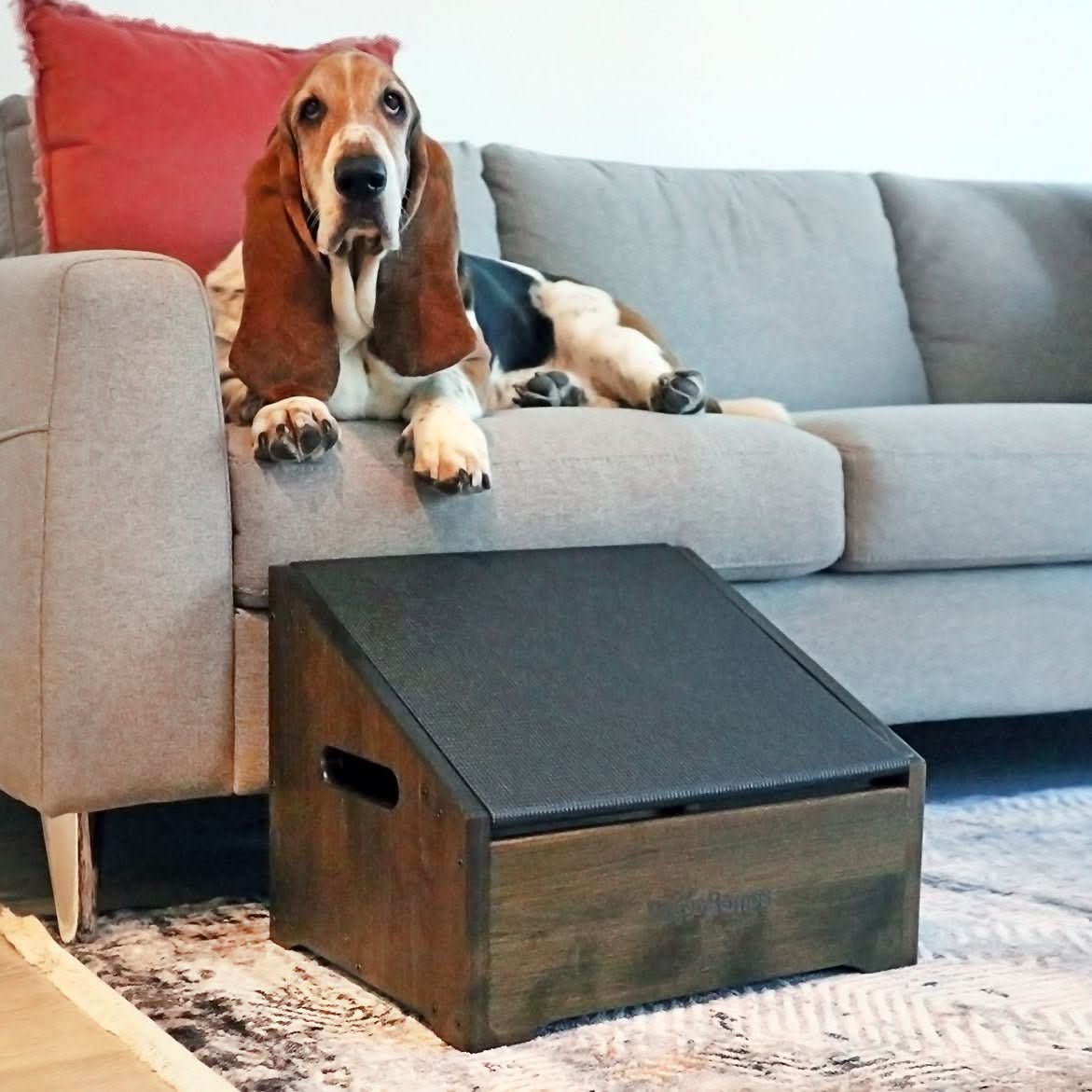 StepRamp For Dogs (Combination Step & Ramp) - Solid Hardwood